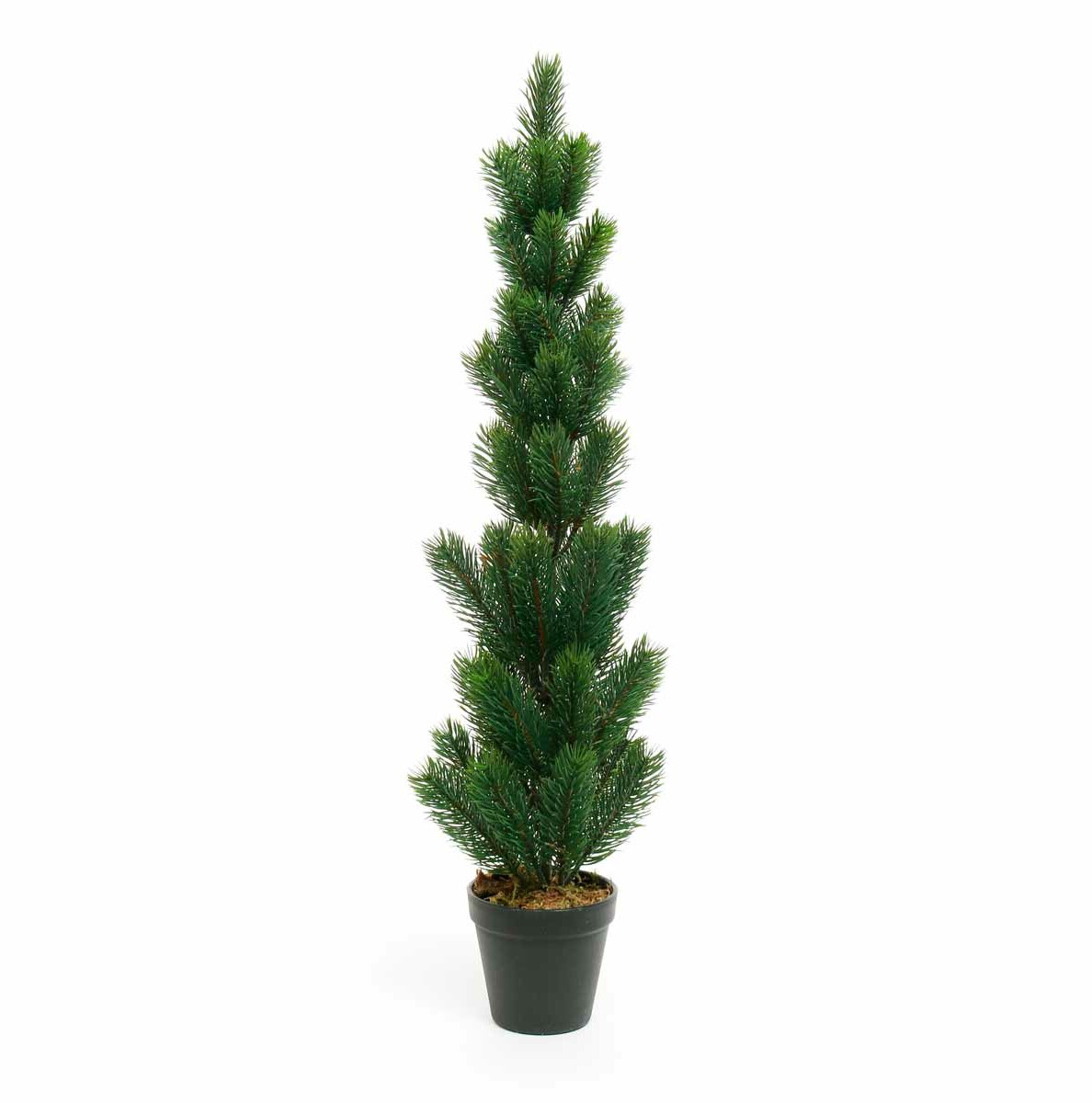 The Holiday Aisle Decorative Spruce Pine Tree In Pot Wayfair