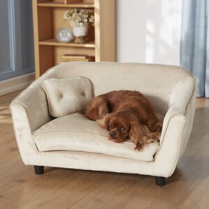 Buy Ultra Plush Astro Dog Sofa!