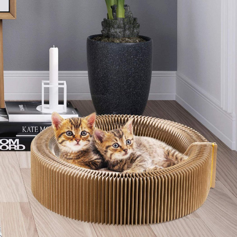 collapsible cat scratcher