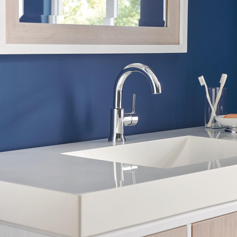 Trinsic Single Hole Bathroom Faucet With Drain Assembly And