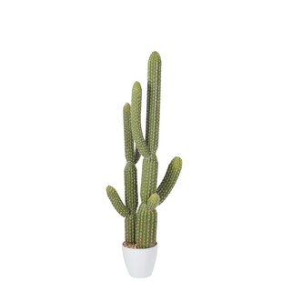 109.5cm Artificial Cactus Tree In Planter By The Seasonal Aisle