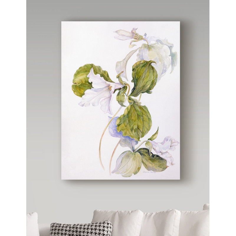 Trademark Art White Trillium Acrylic Painting Print On Wrapped