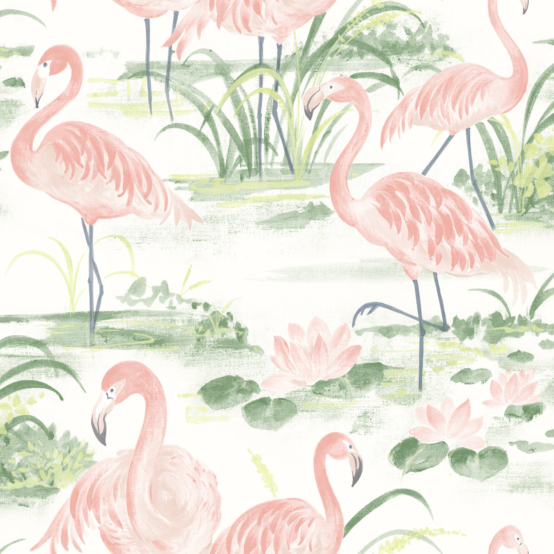 Three Flamingos Wall Mural Wallpaper WS-42760 