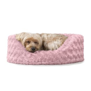 Oval Padded Patterned  Dog Bed 
