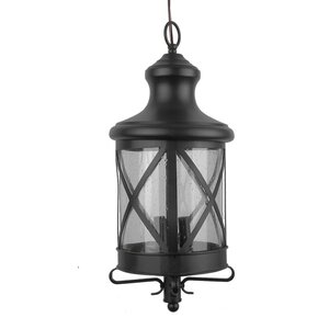 Luqi 3-Light Outdoor Hanging Lantern