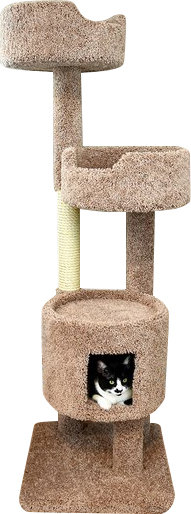 New Cat Condos 64 Newcat Condo Reviews Wayfair