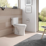 Water Ridge Toilet Wayfair