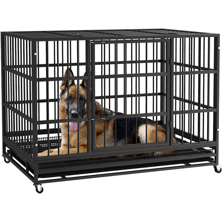 large dog crate