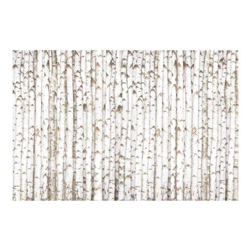Birch Wall 2.9m x 4.32m Textured Matte Peel & Stick Wall Mural East Urban Home