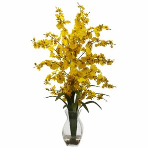 Dancing Lady Orchid in Vase