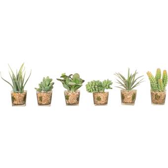 Featured image of post Cute Succulent Desktop Wallpaper Free minimalist succulent wallpaper makes a great desktop wallpaper image or screensaver photo for your desktop iphone or android cell phone 148