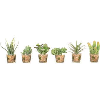 Featured image of post Cute Succulent Desktop Wallpaper Free minimalist succulent wallpaper makes a great desktop wallpaper image or screensaver photo for your desktop iphone or android cell phone 148