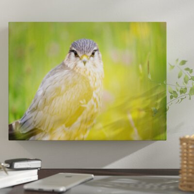 'Birds' Photographic Print on Canvas East Urban Home Size: 7