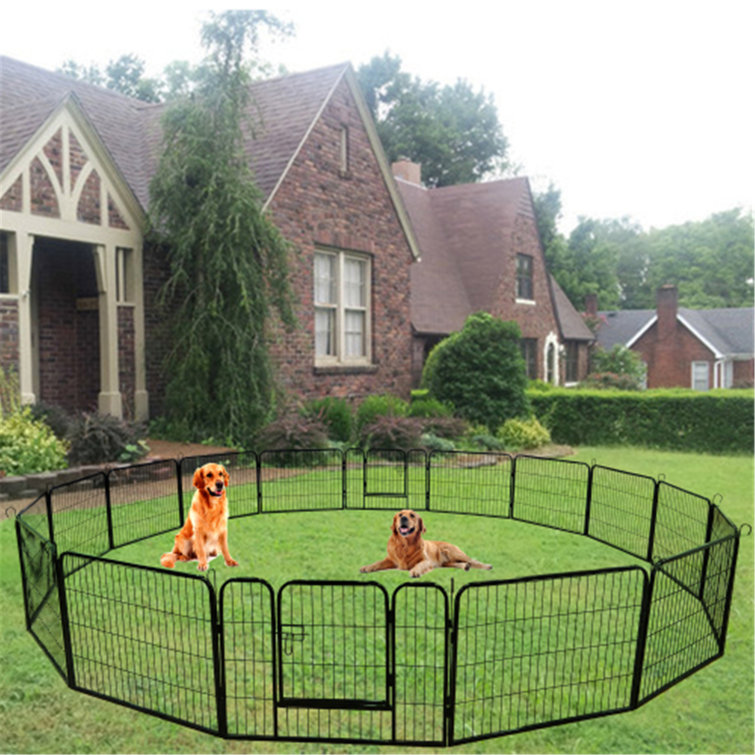 large dog play yard