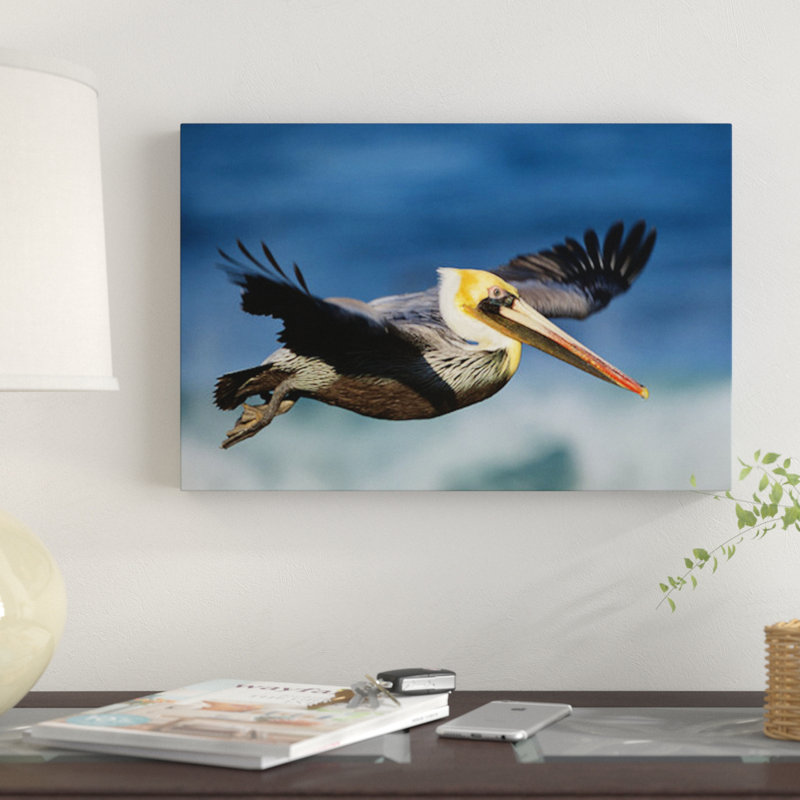 East Urban Home Pelican Flying North America Graphic Art Print