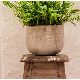 Indoor Pots Planters Wayfair Co Uk Save To Idea Board