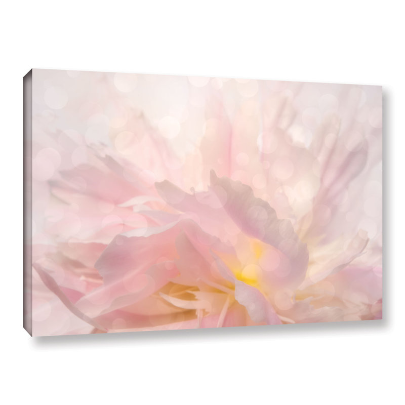 House Of Hampton Backlight Peony Photographic Print On Canvas In Pink Yellow White Reviews Wayfair House Of Hampton Backlight Peony Photographic Print On Canvas In Pink Yellow White Reviews Wayfair