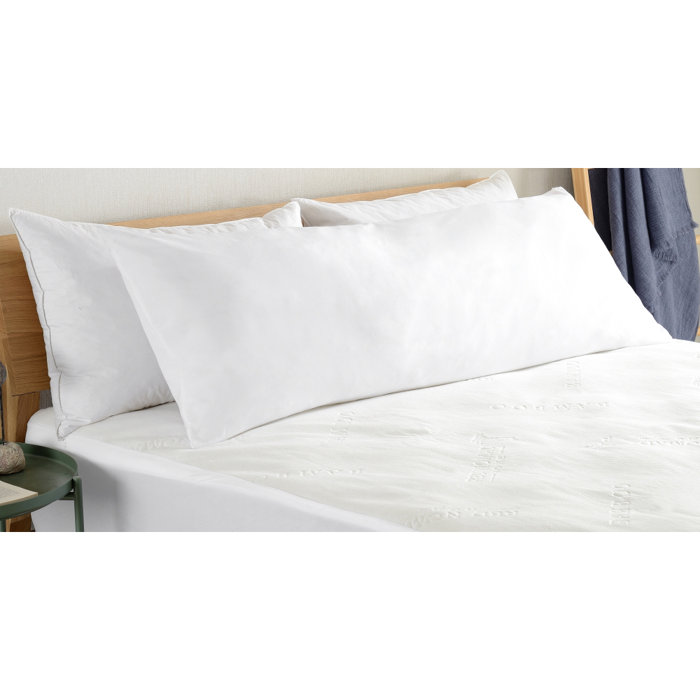 Alwyn Home Butcher Plush Fiber Hypoallergenic Down Alternative