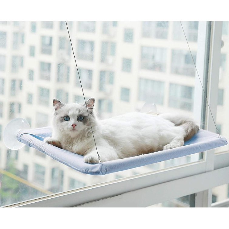 suction cup cat shelf