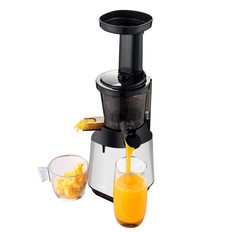 Caynel Slow Masticating & Cold Press Juicer & Reviews | Wayfair.ca