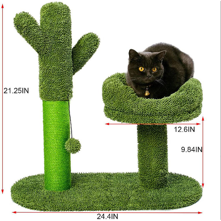 cactus cat post
