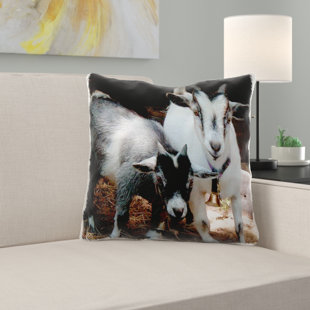 Goat Pillow Wayfair
