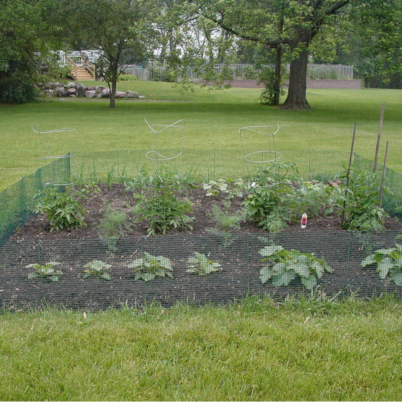 Flipo 1 5 Ft H X 2 Ft W Do It Yourself Expandable Garden Fencing Reviews Wayfair They are no longer just to secure space and mark boundaries, fence walls are now widely. 1 5 ft h x 2 ft w do it yourself expandable garden fencing