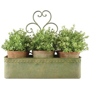 Valletetta Metal Wall Planter By Brambly Cottage