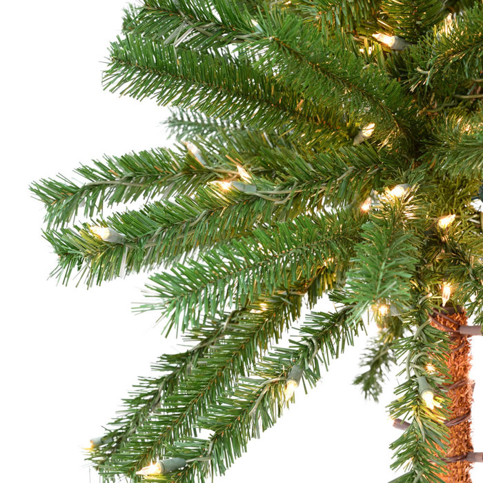 The Holiday Aisle Potted Outdoor 6 Green Tropical Artificial