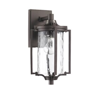 Goodrich 1-Light Outdoor Wall Lantern