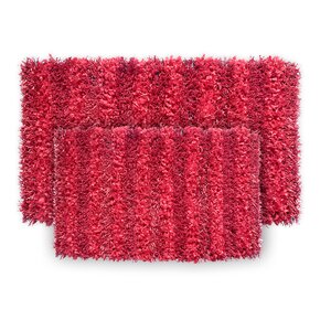 SeaBreeze 2 Piece Hand-Woven Red Novelty Rug Set