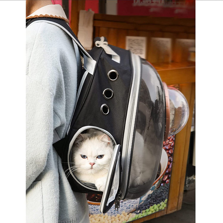transparent cat carrier