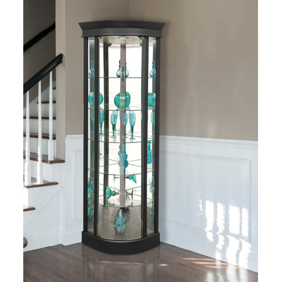 Charlton Home® Galghard Lighted Corner Curio Cabinet ...