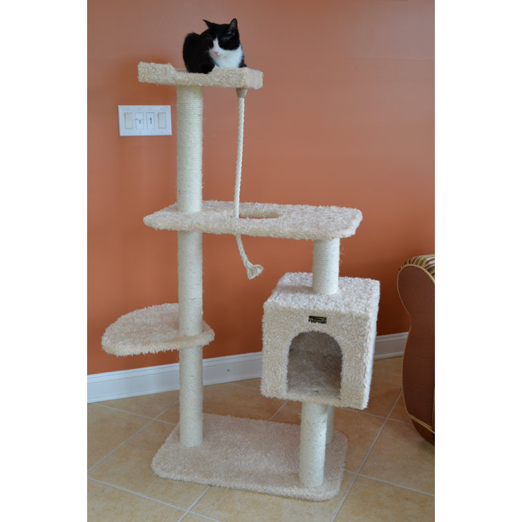 cat daddy approved cat trees