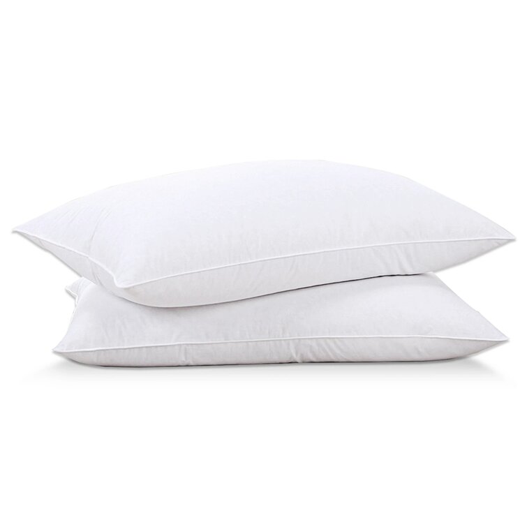 Symple Stuff Ramessu Feathers Medium Support Pillow & Reviews | Wayfair ...