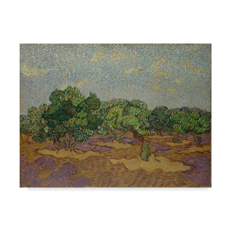 Trademark Art Olive Trees By Vincent Van Gogh Oil Painting Print On Wrapped Canvas Wayfair