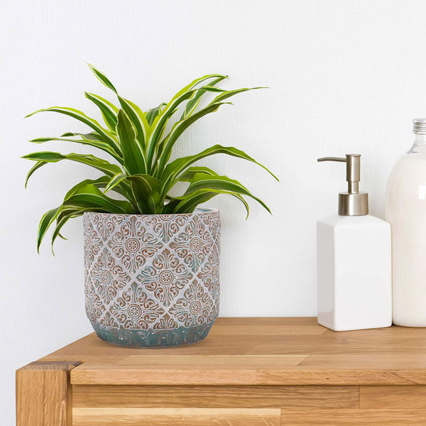 Planter-Home-House Plant Pot Decorative Flower Pot on pot Dolomite 