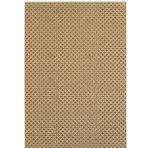 Carrow Brown Indoor/Outdoor Area Rug