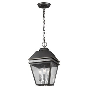 Daughtrey 3-Light Outdoor Hanging Lantern