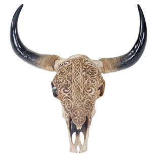 Animal Skull Wall Decor Wayfair Co Uk