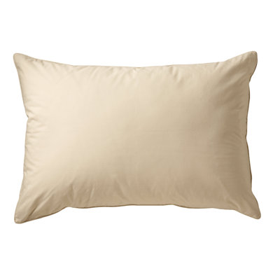 Polyfill Pillow AllerEase