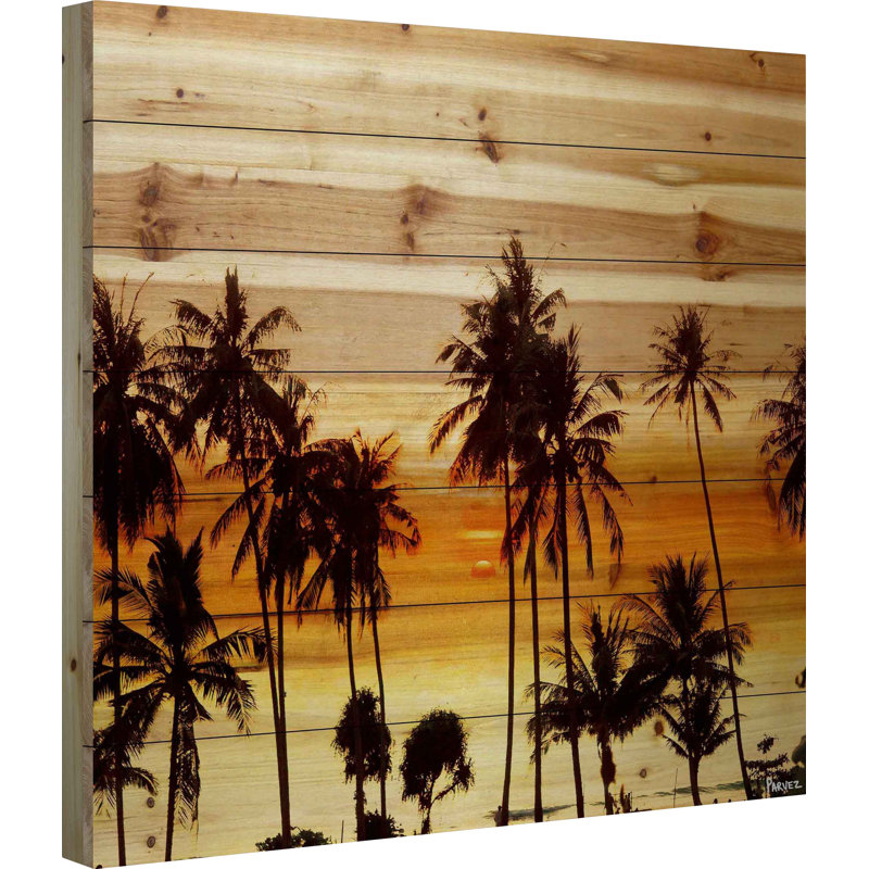 Bay Isle Home Palms In The Sun By Parvez Taj Painting Print On