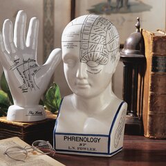 Phrenology Head Medical Bust Scientific Skull Porcelain Office Home 