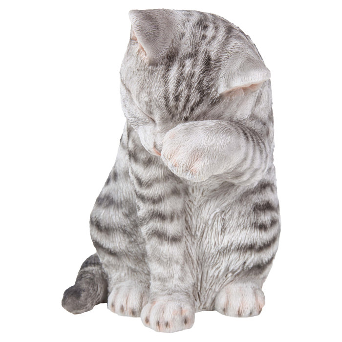 Tabby Cat American Shorthair Washing Statue