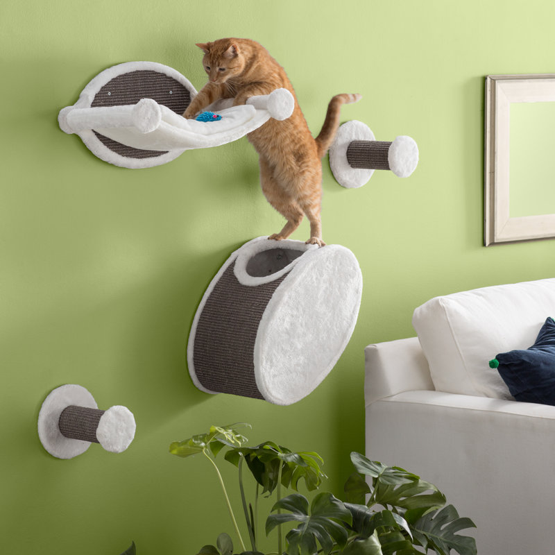 Archie Oscar Gabby 4 Piece Wall Mounted Cat Tree Reviews Wayfair