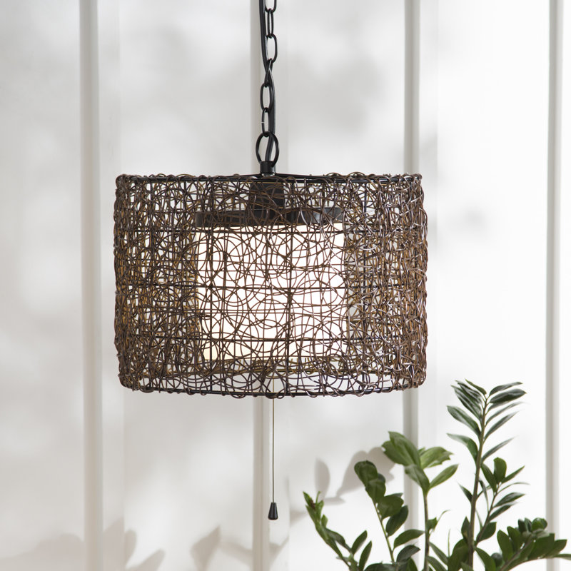World Menagerie Verwood Black 1 Bulb 13 H Plug In Outdoor Pendant Reviews Wayfair