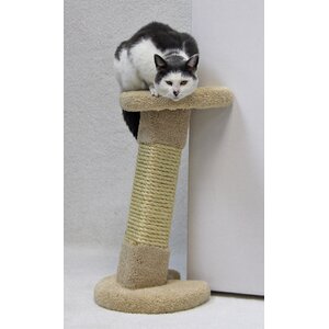 Corner Cat Scratcher Post