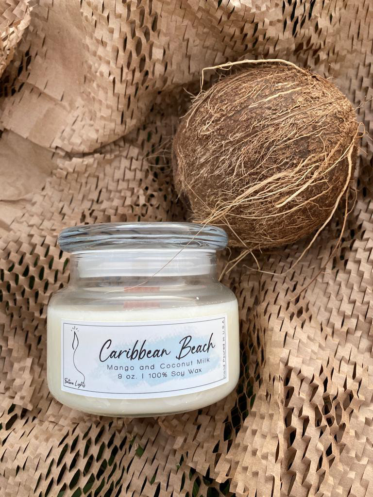 Fontana Lights Mango and Coconut Milk Scented Jar Candle Wayfair