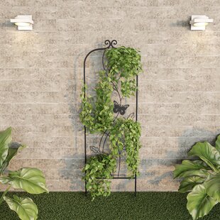 Tall Garden Trellis Wayfair