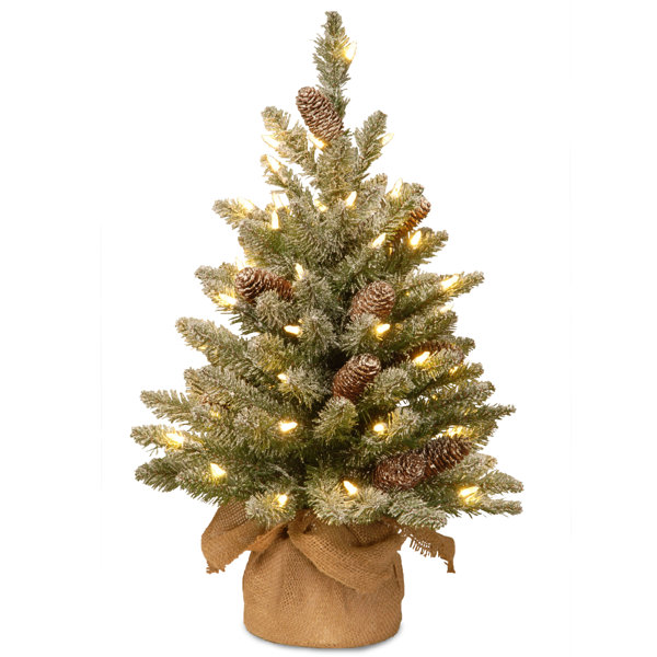 Outdoor Christmas Tree With Battery Operated Lights